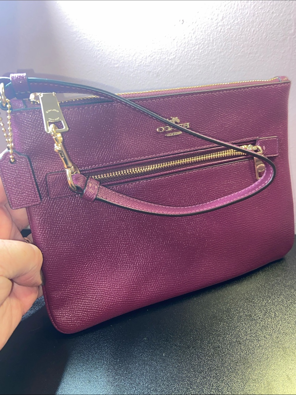 Coach Leather Gallery Pouch EUC